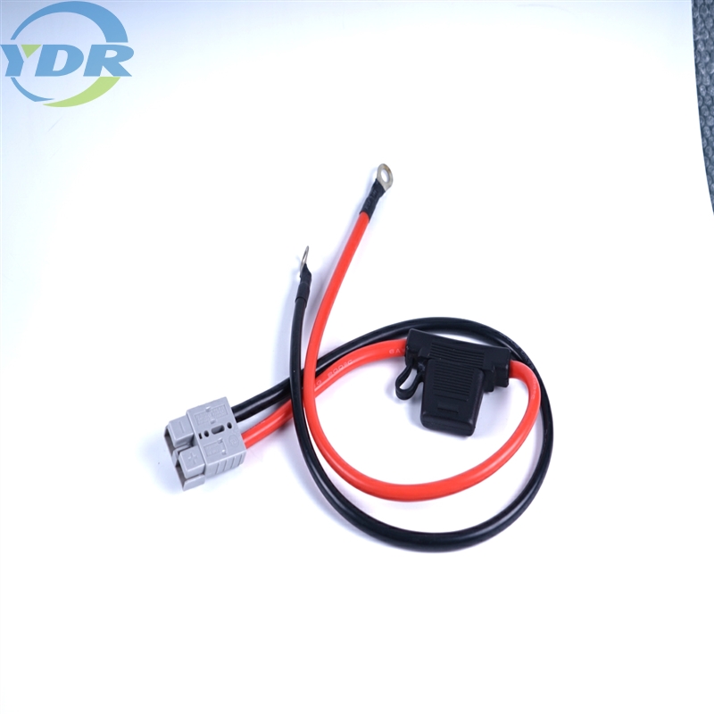 কাস্টম অ্যান্ডারসন ওয়্যার জোতা